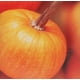 thumbnail image 3 of Difusor aromas, 3 of 3