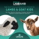 thumbnail image 3 of Reemplazo de Calostro ANNUSO LIFELINE 590 g Cordero y Cabrito, 3 of 7