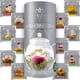 thumbnail image 1 of Paquete de 12 variedades florecientes únicas de Tea Teabloom Flowering, 1 of 8