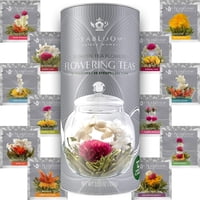 Paquete De 12 Variedades Florecientes Únicas De Tea Teabloom Flowering