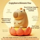 thumbnail image 2 of Lámpara nocturna FAMIDUO Tangerine Capybara LED Squishy recargable, 2 of 6