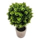 thumbnail image 2 of Planta Artificial Macetero Cerámica Mini Arbolito Verde, 2 of 3