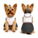 thumbnail image 1 of Traje de Huaso Chileno para Perro Talla XS, 1 of 10