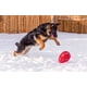 thumbnail image 3 of Juguete para perros Jolly Pets Jolly Egg Yellow 30 cm para perros +18 kg, 3 of 6