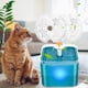 thumbnail image 5 of Filtros para fuentes de agua Cat Monsin para acero inoxidable de 2,5 litros, 5 of 7