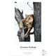 thumbnail image 2 of Papel FineArt Digital Hahnemuhle German Etching 310gr A4 25h, 2 of 4