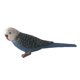 thumbnail image 4 of miniatura animales pájaros modelo estatuilla estatua scupltue juguete loro 2, 4 of 5