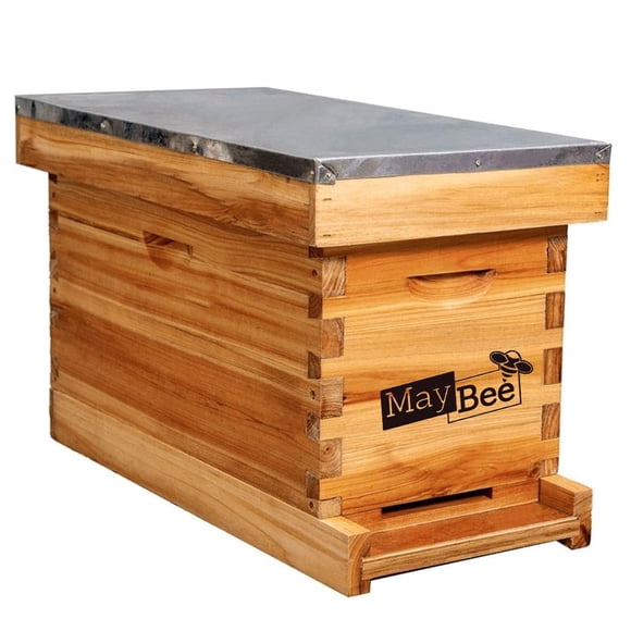 Kit de caja nuc de 5 cuadros MayBee para colmena, recubierta de cera