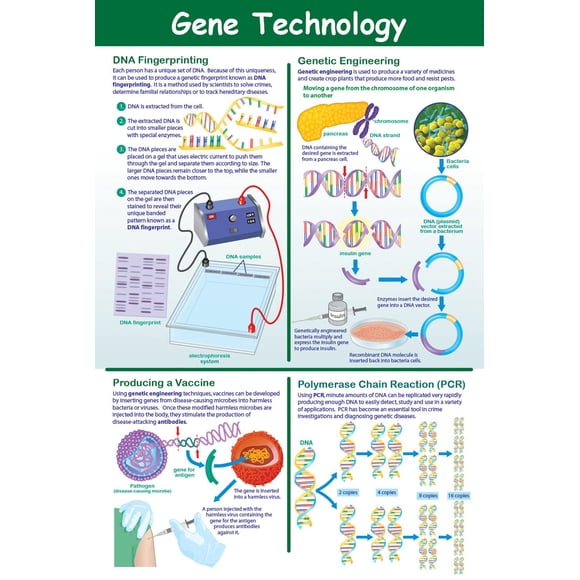 Póster NewPath Gene Technology laminado 23x35 cm