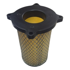 Genérico - Filtro De Aire Para Motorrad Xmm 250 Original