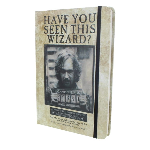 Se busca un diario en el que Harry Potter: ¿Has visto a este mago?