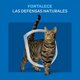 thumbnail image 4 of Alimento Seco Gato Adulto Sabor Carne Bolsa, 3 Kg, 4 of 5