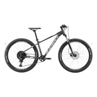 Bicicleta Silverback Stride 29 Expert 29 T:L