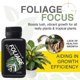 thumbnail image 3 of Growth Technology GT Foliage Focus Liquid Indoor Plant Food, 3 of 3
