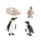 thumbnail image 3 of Penguin Life Cycle Model Animals Juego Cognitivo Para Materiales De Ense?anza Estilo B, 3 of 5