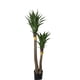 thumbnail image 1 of Árbol de Yuca UV 183 cm, 1 of 3
