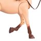 thumbnail image 5 of Horse Our Generation Morgan, plegable, 20 cm, con accesorios, 5 of 8