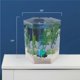 thumbnail image 5 of Kit de acuario Tetra Bubbling LED de 3,8 L en forma de hexágono con luz, 5 of 8