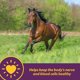 thumbnail image 2 of Suplemento Vita B-12 Crumbles de Horse Health, 1,4 kg, 48 días, 2 of 7
