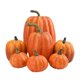 thumbnail image 3 of 7x Calabazas Artificiales A Granel Cosecha Falsa Para Centro De Mesa De Boda De Oto?o Naranja, 3 of 5