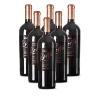 Korta - Vino Reserva De Familia (Petit Verdot, Cabernet Franc, Carmenere Y Syrah), 6 Unidades