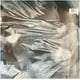 thumbnail image 2 of George Michael I Want Your Sex 12 Maxi Single Usado, 2 of 2