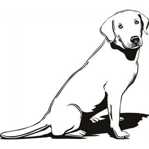 Rienda Libre Graphics - Decomural Labrador Dog Pet Animals Ws-17469