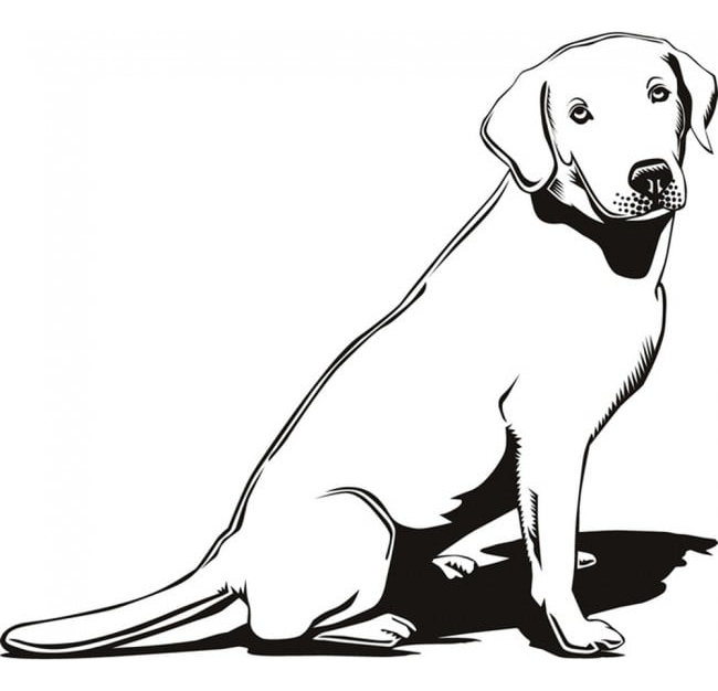 Rienda Libre Graphics - Decomural Labrador Dog Pet Animals Ws-17469
