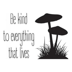 Rienda Libre Graphics - Decomural Be Kind Life Ws-44108