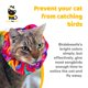 thumbnail image 2 of Cubierta para Collar de Gato Birdsbesafe – Aviso de Seguridad para Aves, 2 of 9
