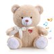 thumbnail image 1 of Oso durmiente Sleeping Aid Soother BEREST con ruido blanco, 1 of 9