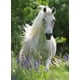 thumbnail image 3 of RAVENSBURGER PUZZLE XXL CORSEL BLANCO 100P, 3 of 3