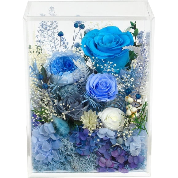 Flores Preservadas Valley of Rain Forest Caja Rosa Azul