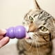 thumbnail image 2 of Juguete Kong Kitty Kong Para Gatos Rellenable Talla Única, 2 of 5