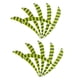 thumbnail image 3 of Plumas Para Flechas Fiocias 3" Amarillo Fluorescente 12 Piezas, 3 of 5