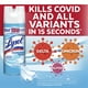 thumbnail image 5 of Desinf Aerosol Crisp Line 370ml, 5 of 6