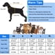 thumbnail image 5 of Chaleco salvavidas Petglad Wings con barbilla flotante para perros, color naranja M, 5 of 6