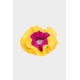 thumbnail image 1 of Bamba Solar Basic, 1 of 3