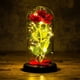 thumbnail image 1 of Caja de regalo de rosas de La Bella y la Bestia, rosas eternas, rosa de seda roja y luz LED para decoración del hogar, cumpleaños, boda, día de San Valentín, día de la madre, cumpleaños, día, 1 of 4