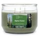 thumbnail image 1 of Vela Aromática Mainstays Alpine Forest 3 Mechas 326 g, 1 of 3