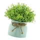 thumbnail image 2 of Pequeñas Plantas Artificiales En Maceta Para Bodas, Oficina, Orquídea Falsa, Flor De Frijol En Maceta Verde., 2 of 5
