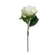 thumbnail image 1 of Peonia Blanca 45cm Con Acabado Natural, 1 of 3