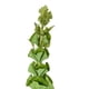 thumbnail image 3 of Rama Campana Irlandesa 89cm Artificial, 3 of 3