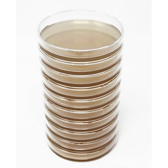 Placas de agar con extracto de malta (MEA) EZ BioResearch, 10 placas