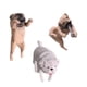 thumbnail image 3 of Pugs Acuario Ornamento Pugs Estatua Moderna Para Fish Tank Office Decoración, 3 of 5