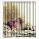 thumbnail image 1 of Cortina de ducha de mono con ganchos, tamaño 66 x 72 pulgadas, 1 of 3