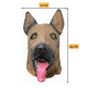 thumbnail image 5 of Máscara De Látex Diseño De Cabeza Perrito Halloween 2025, 5 of 6