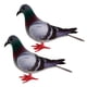 thumbnail image 5 of 2x falsas plumas artificiales de espuma palomas aves boda decoración adornos lugar, 5 of 5