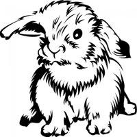 Rienda Libre Graphics - Decomural Fluffy Bunny Rabbit Cute Animals Ws-33023