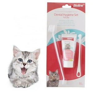 Genérico - Kit De Limpieza Dental Higiene Para Gatos Cepillo Y Pasta